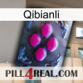 Qibianli 02